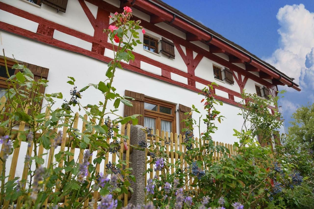 Jurahaus Hirschberg Lägenhet Beilngries Exteriör bild